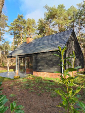 Luxe boslodge Giethmen